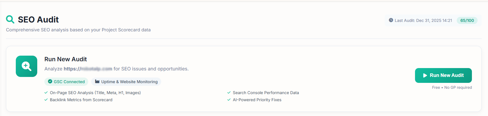 SEO Audit - Header & Run New Audit